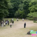 숲길 걷기 동아리 활동 이미지