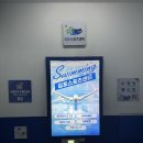 김포스포츠센터 | 김포 수영장 스포츠센터 수영 등록 후기.