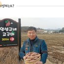 임성규네고구마영농조합법인