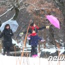 함박눈