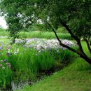 우리들의 사랑 이미지