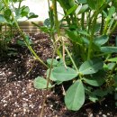 초읍초등학교 이미지