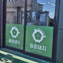 중문청춘돼지