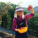 동광목장 이미지