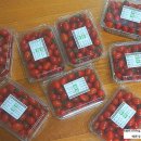 덕명농장 이미지