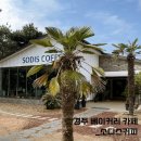 소디스커피 이미지