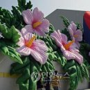 무궁화꽃이피었습니다 이미지