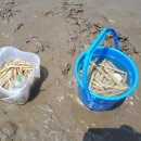 (주)코자니 이미지