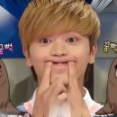 비둘기모사 MBC연예