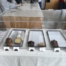 인어공원 화장실 | 전주 혁신도시 필터커피 맛집 신상카페 하우스먼트 인어로우 내돈내산 후기