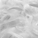 그린어스크리닝 이미지