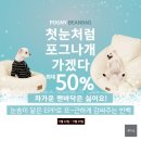 포그나개 이미지