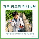 경주 키즈팜 막내농부 아이랑 딸기체험 쿠킹클래스 동물체험