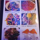 연변뀀점 | 수원양꼬치 맛집 " 오성양꼬치 " 내돈내산 솔직후기 !