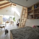 Dog Salon 이미지
