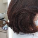 노벨리아 헤어 이미지