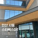 (주)케이티스포츠 | 안산 사동 스타벅스 DT점 오픈 방문 후기 주차 정보
