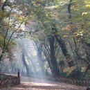 경남함양이은349 이미지