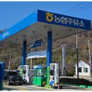 강릉농협주유소 이미지