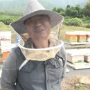 정태농장 네이버블로그