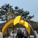 주차08 | 서울 근교 단풍 여행 원주 반계리 은행나무 후기 주차꿀팁 (11월 08, 10일)