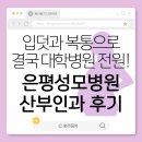 성모한의원 | 임신 중 개인병원에서 대학병원으로 전원한 이유 | 은평성모병원 산부인과 후기