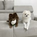 큐브케어 이미지