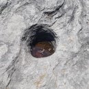 신도목장 이미지