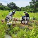 하늘산소묘지이장공사