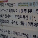 비비안리 뷰티