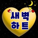 [하트총공] 24시 ~ 7시 하트 캡처 댓글 + 하트방에 인증글도 올려주세요 ❤️❤️ 이미지