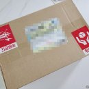 윤덴탈 네이버블로그