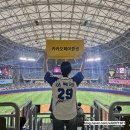 한일장신대학교 | 불꽃야구 한일장신대 고척돔 직관 후기, 412구역 B열 시야