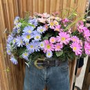 평창한우마을홍천대명식당 이미지