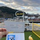 펫클라우드 이미지