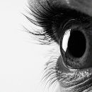 안구 건조증에 대한 프로바이오틱스가 증상 치료에 도움이 될 수 있습니까? 이미지