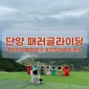 비디오일번지 | [단양 여행]짜릿한 인생, 패러글라이딩 가격 꿀팁!