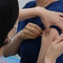 [And 건강] 올 가을 전국민 코로나 ‘XBB.1.5 표적’ 백신 맞는다 이미지