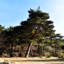 안국사지 이미지