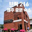 브릭216 이미지
