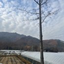 나드리주유소 이미지