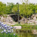 서울식물원 이미지