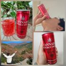 (주)브라보헬스 | 카나비스 에너지 드링크 효과 | 햄프씨드 타우린 스포츠 기능성 음료 쥬맥스