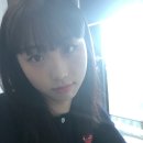 더담꼬가게 | 주도제 🌴