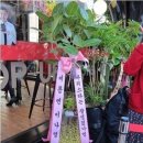 커피톱