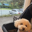 유정1955 이미지