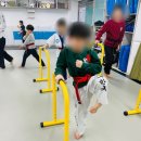 용인대 한국 체육관(태권도) 이미지