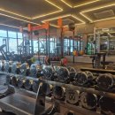 브리즈GYM | 가슴운동하기 좋은 동탄헬스장 브리즈짐 일일체험권 후기!