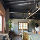 유기농카페 | [춘천] 여행코스 꽃밭 사진으로 유명한 🌱유기농카페🌱 내돈내산 후기 데이지꽃 개화 현황
