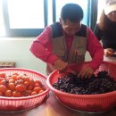 배중열 Daum카페